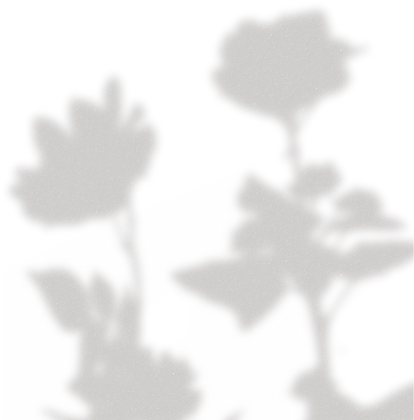 Simple Floral Shadow Violets